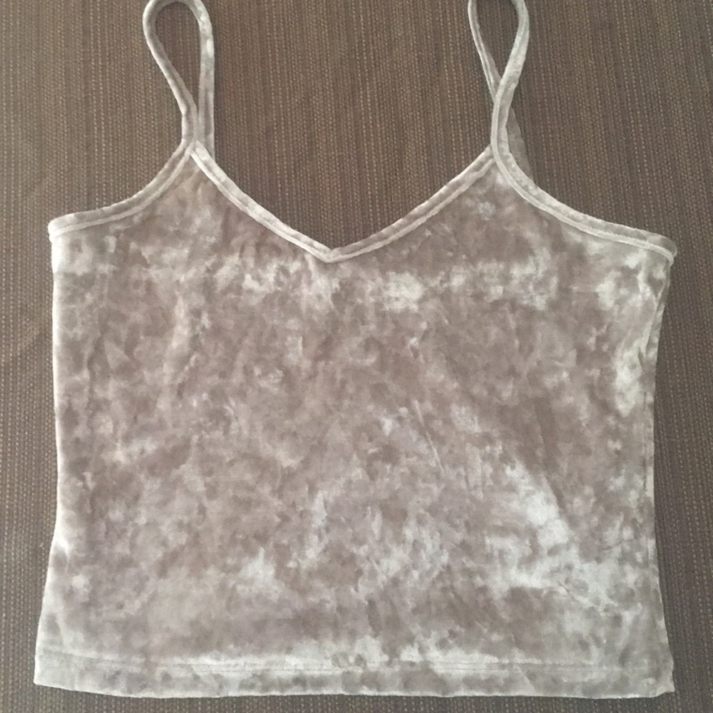 Silver Velvet Crop Top
